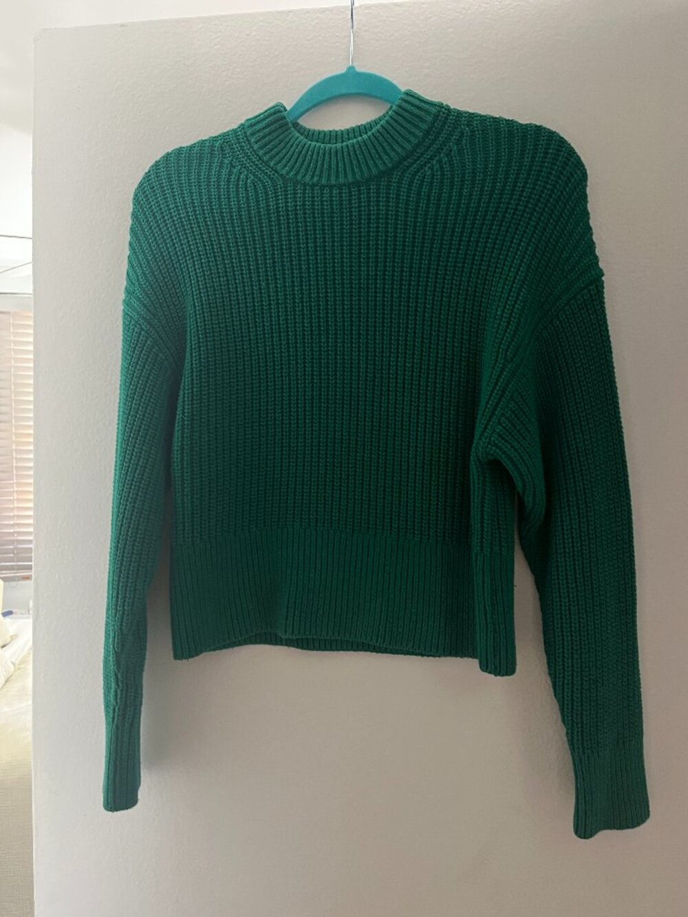 Green Everlane Sweater